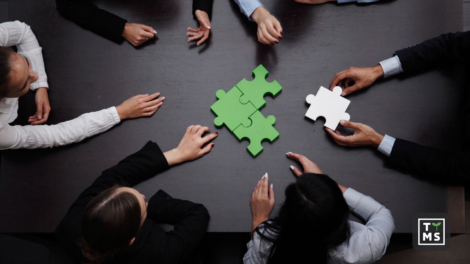 Modele cenowe staff augmentation w nearshoringu: ile naprawdę kosztuje zewnętrzny zespół IT?