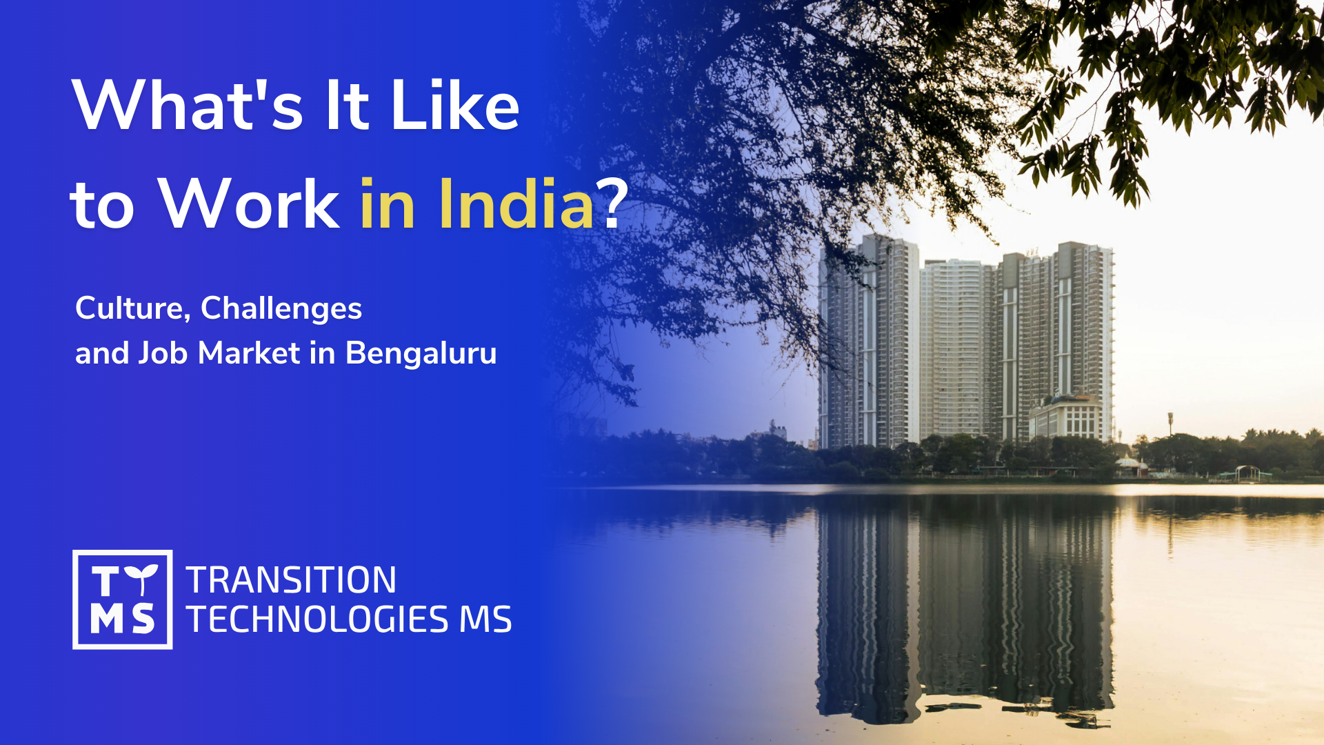 What’s It Like to Work in India? Culture, Challenges and Job Market in Bangalore