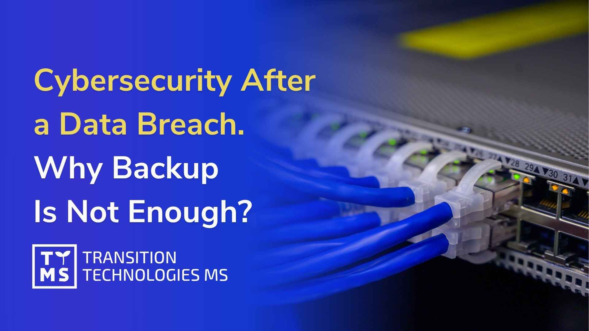 Cybersecurity After a Data Breach. Why Backup Alone Is Not Enough
