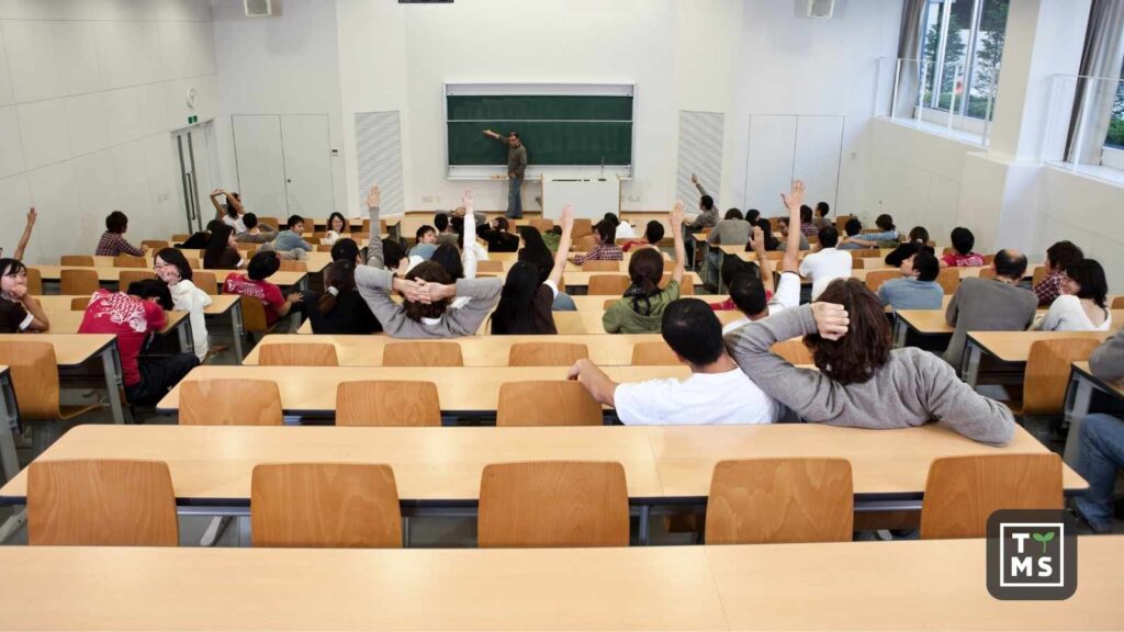 AI in Higher Education - How Universities Can Harness Artificial Intelligence