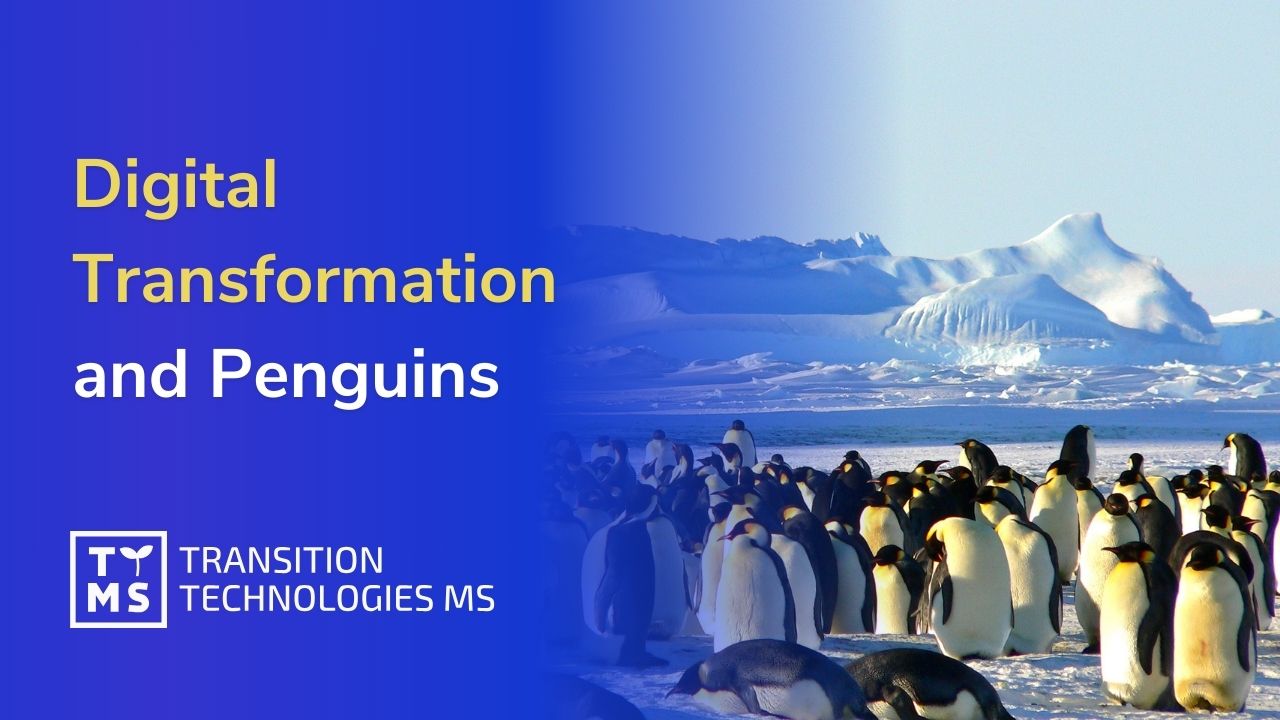 Digital Transformation and Penguins