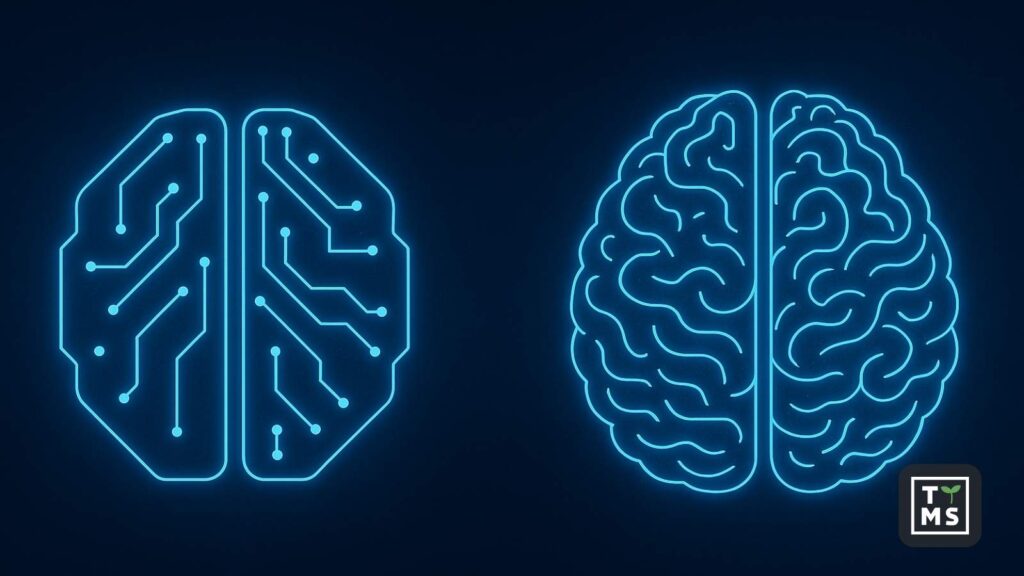 ChatGPT-5 vs ChatGPT-4