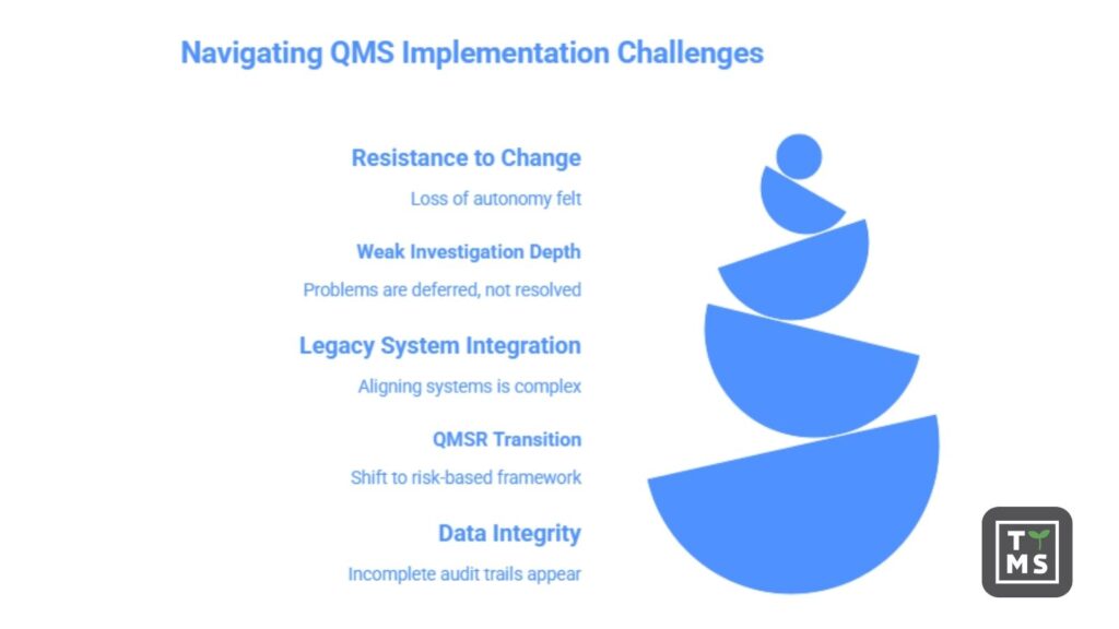 Navigating QMS Implementation Challenges