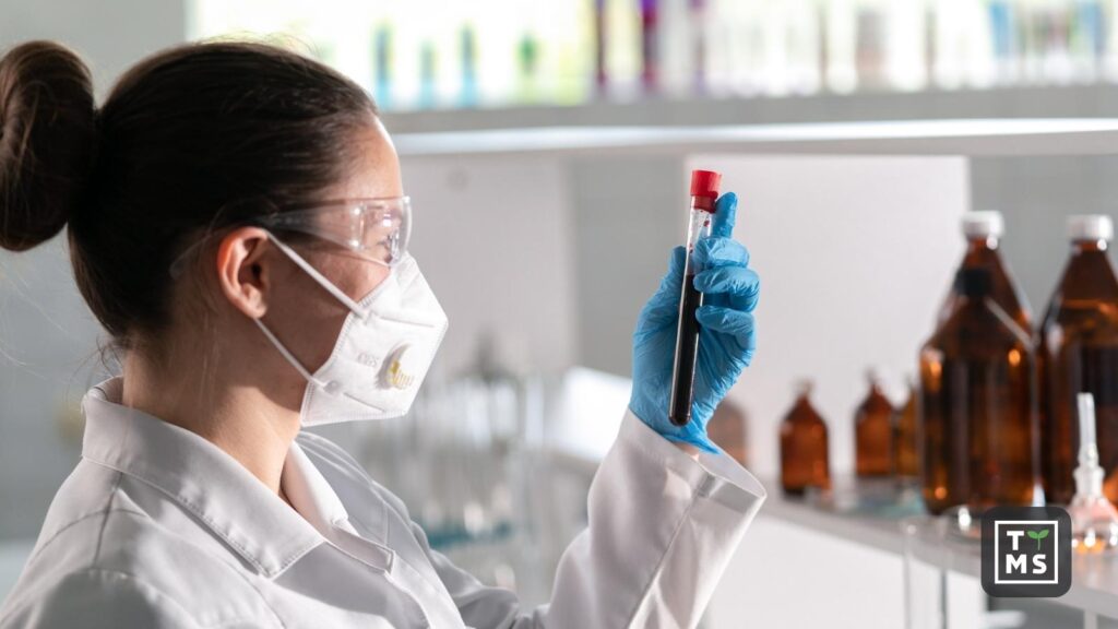 System zarządzania jakością w farmacji