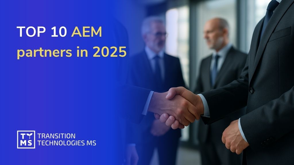 TOP 10 AEM partners in 2025