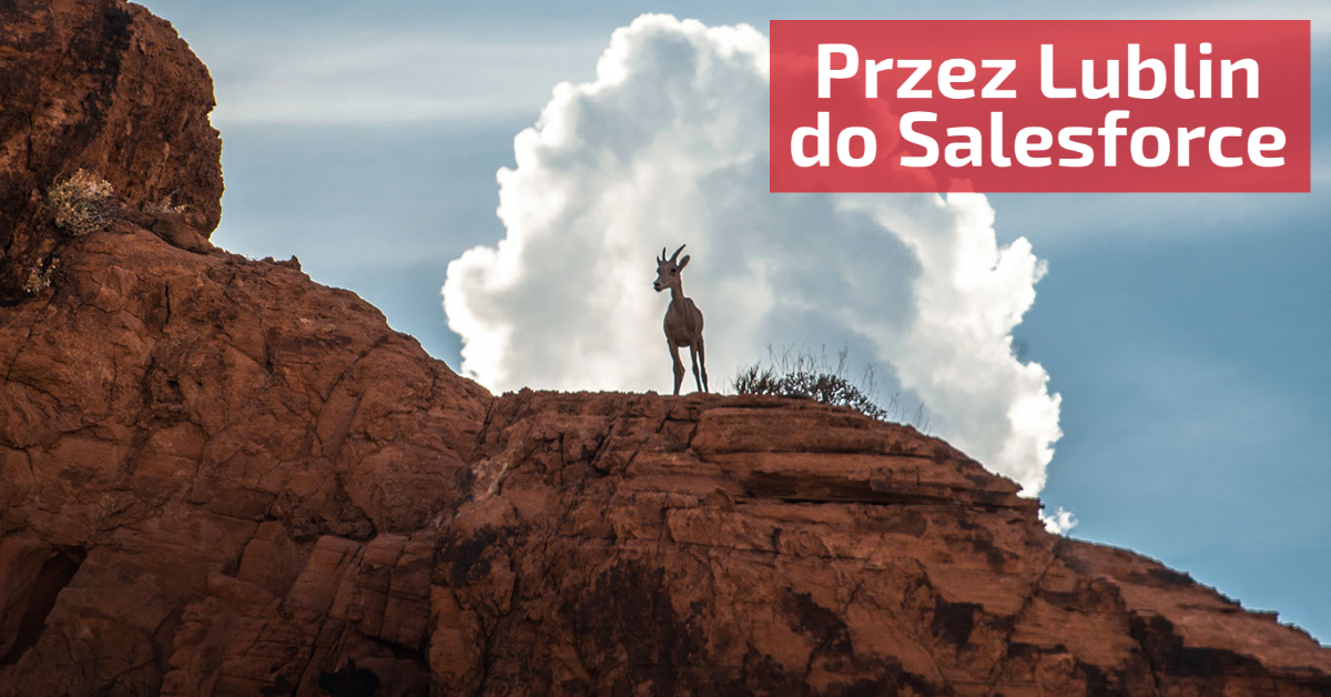 Przez Lublin do Salesforce