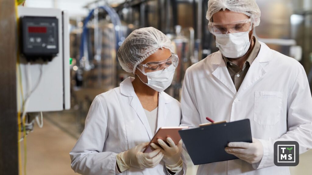 What is Production Software - Key Features & Uses | TTMS