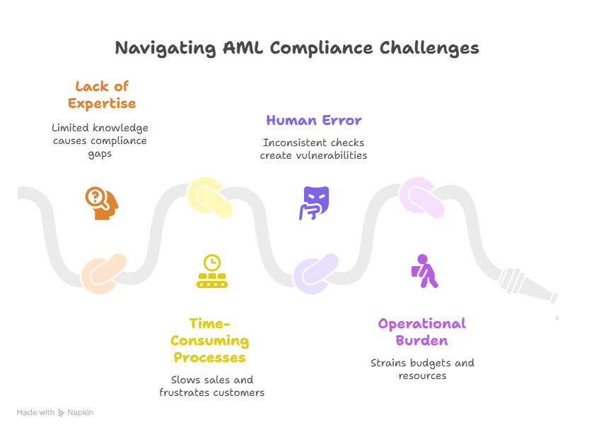 Challenges in Meeting AML Compliance